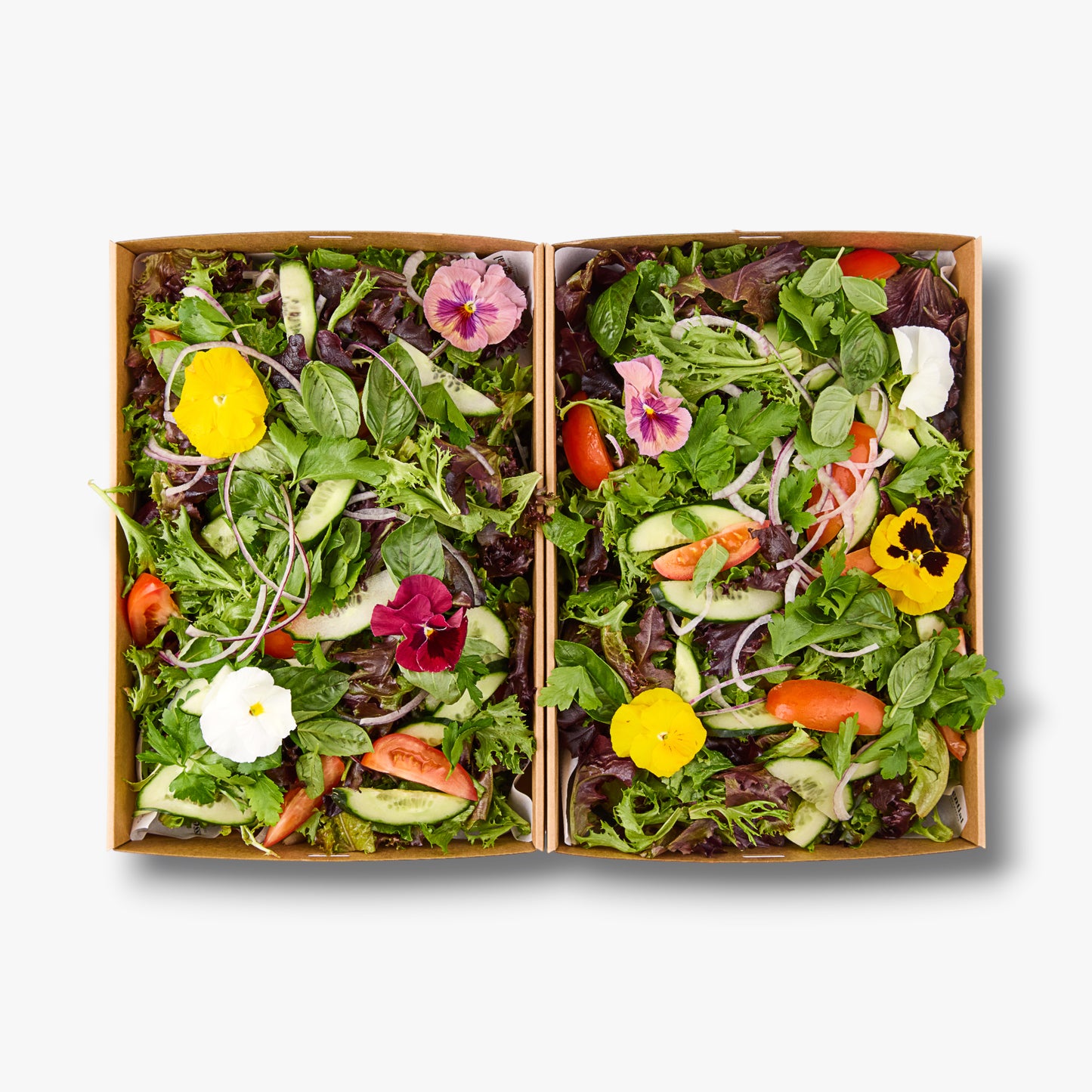 Salad greens, balsamic vinaigrette, cucumber, Spanish onion, tomato & torn herbs